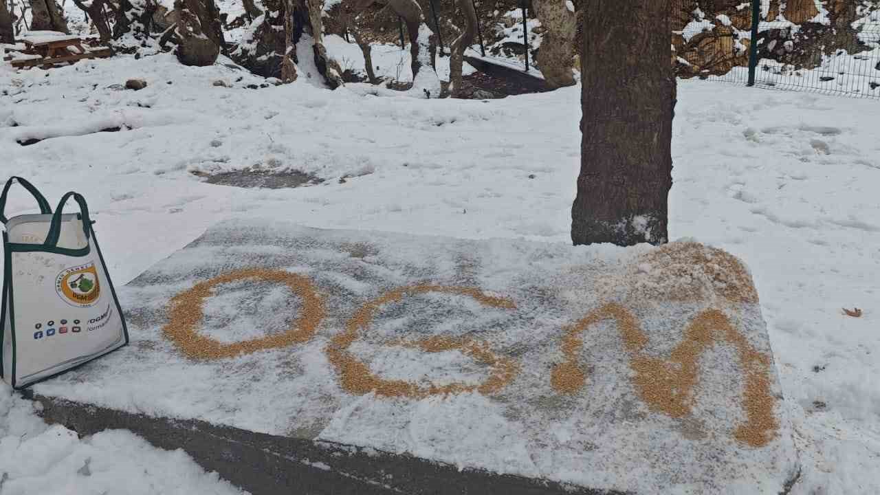 Batman’da yaban hayatı unutulmadı
