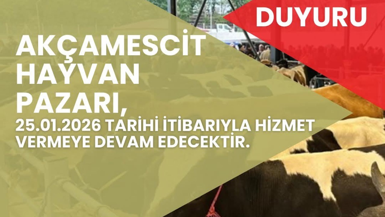 Hayvan pazarı 4 ay sonra yeniden hizmete açılacak
