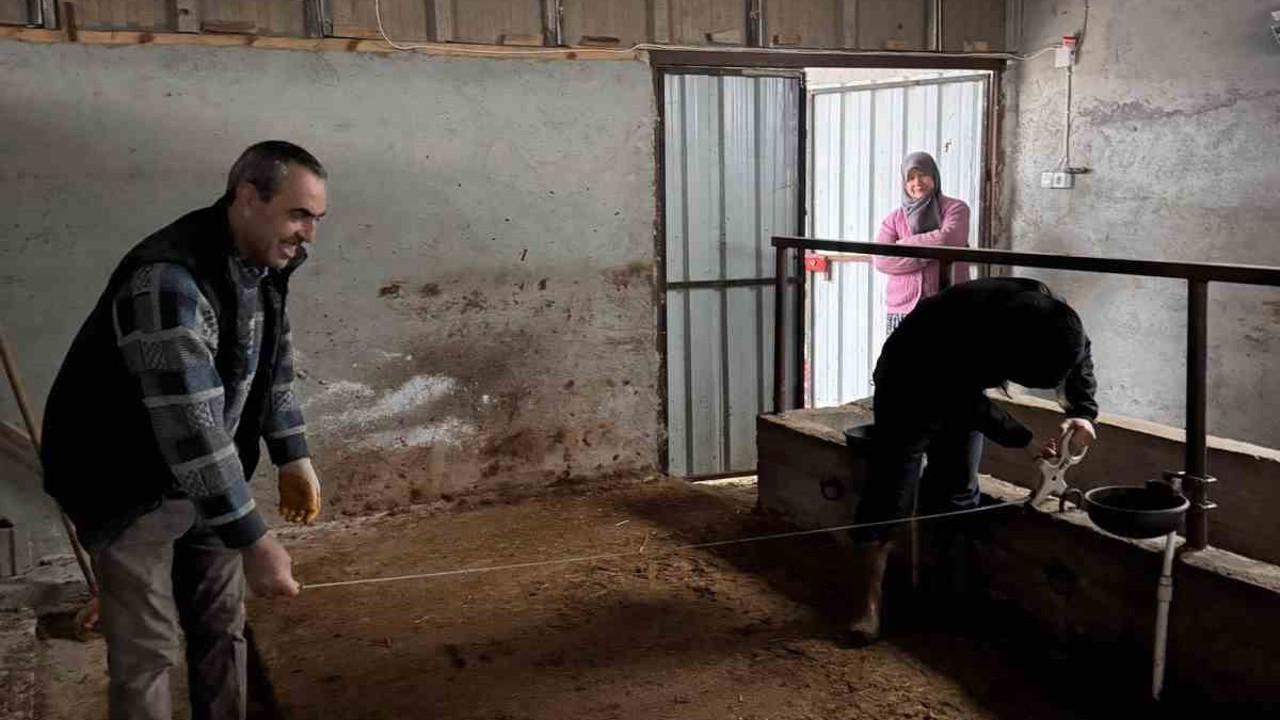 Bilecik’te büyükbaş hayvancılık işletmelerinde kapasite kontrolleri
