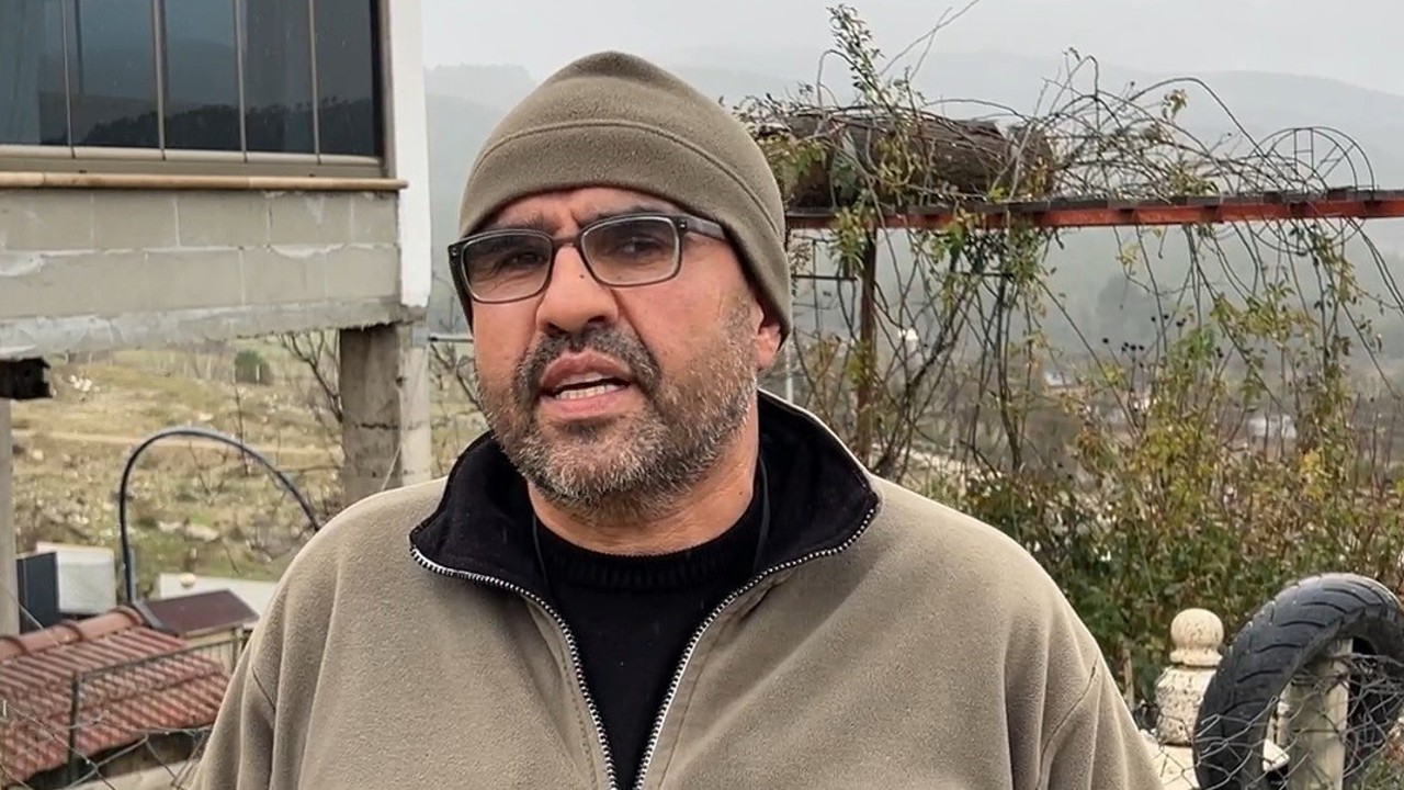 Sokak köpekleri, sahipli köpeği parçaladı
