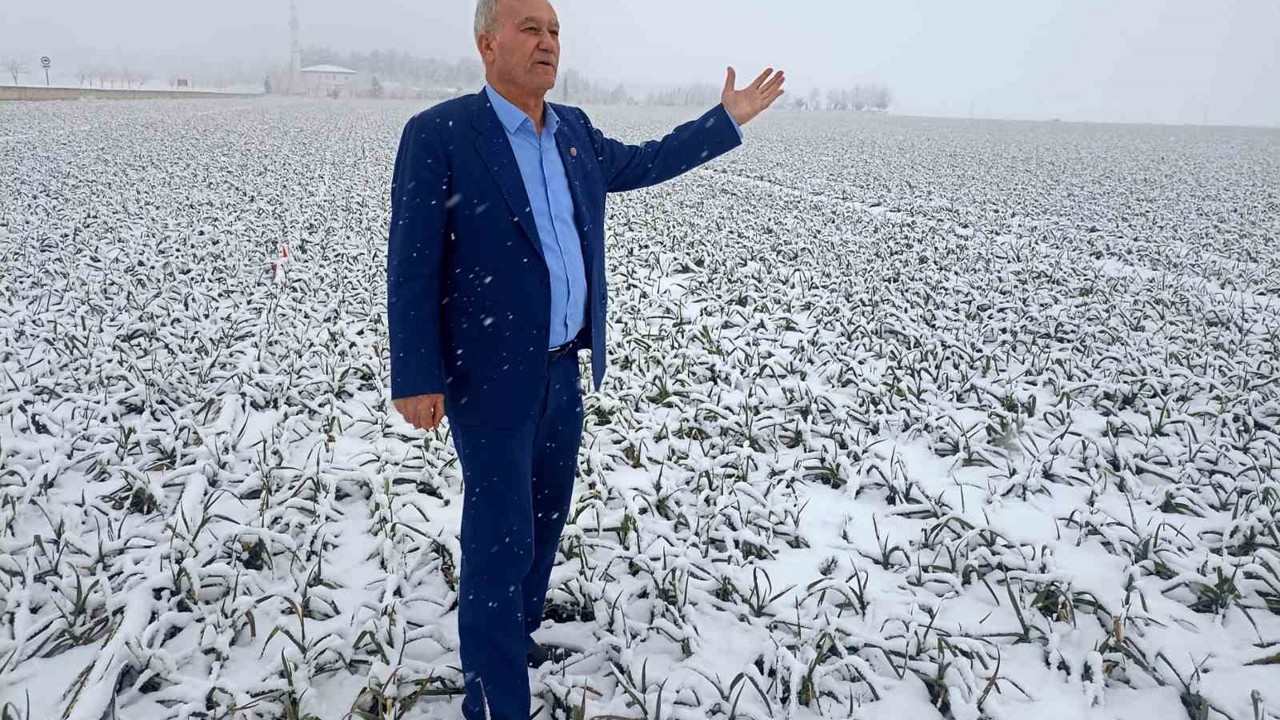 Kar yağışı sarımsak üreticisinin yüzünü güldürecek
