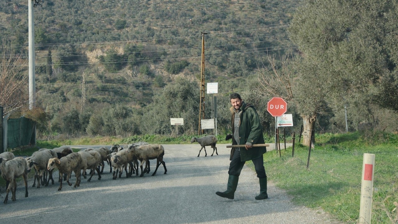 Havalar ısındı, sürüler doğaya salındı
