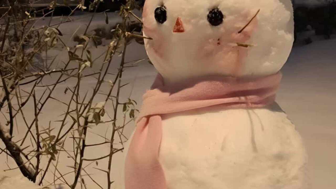 Diyarbakır’ın en güzel kardan adamı seçildi
