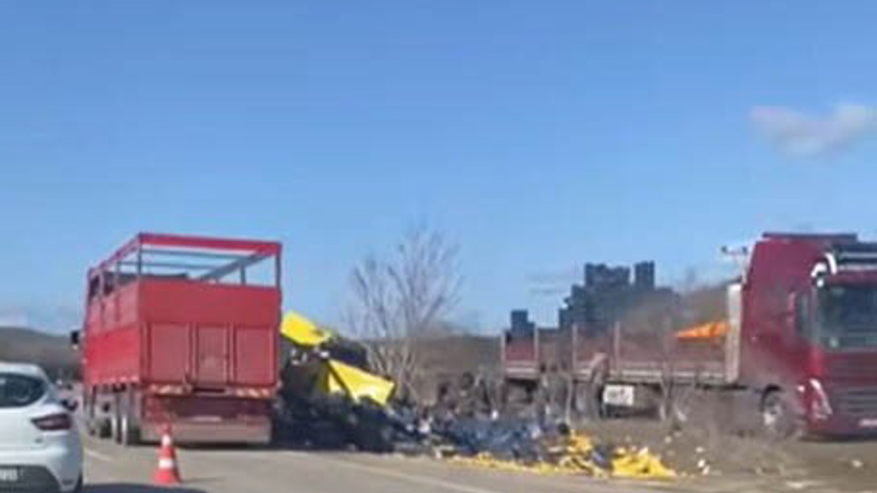 Burdur’da limon yükü tır şarampole devrildi
