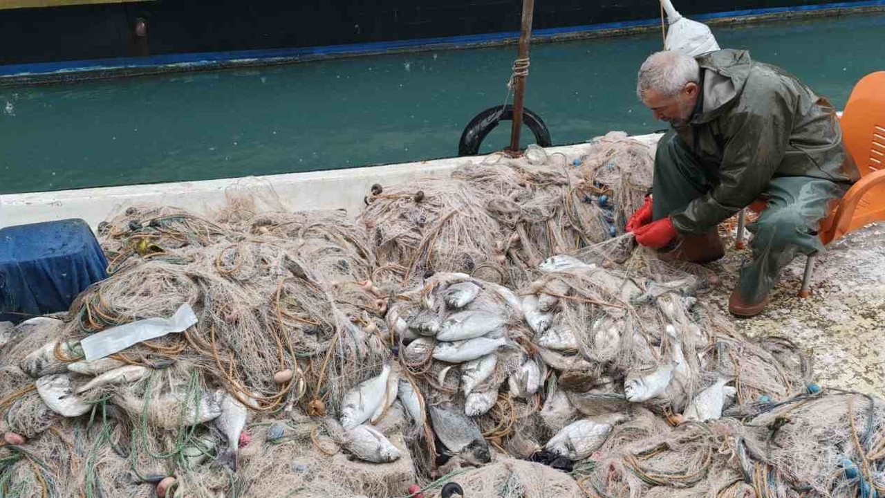 Silifke’de balık çiftliğinin ağı yırtıldı, kıyılar balıkla doldu
