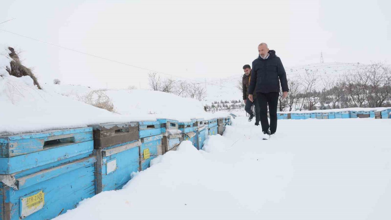 Kar yağışı, koloni kayıplarını ve hastalıkları minimuma indirdi: Arıcılar sezonundan ümitli
