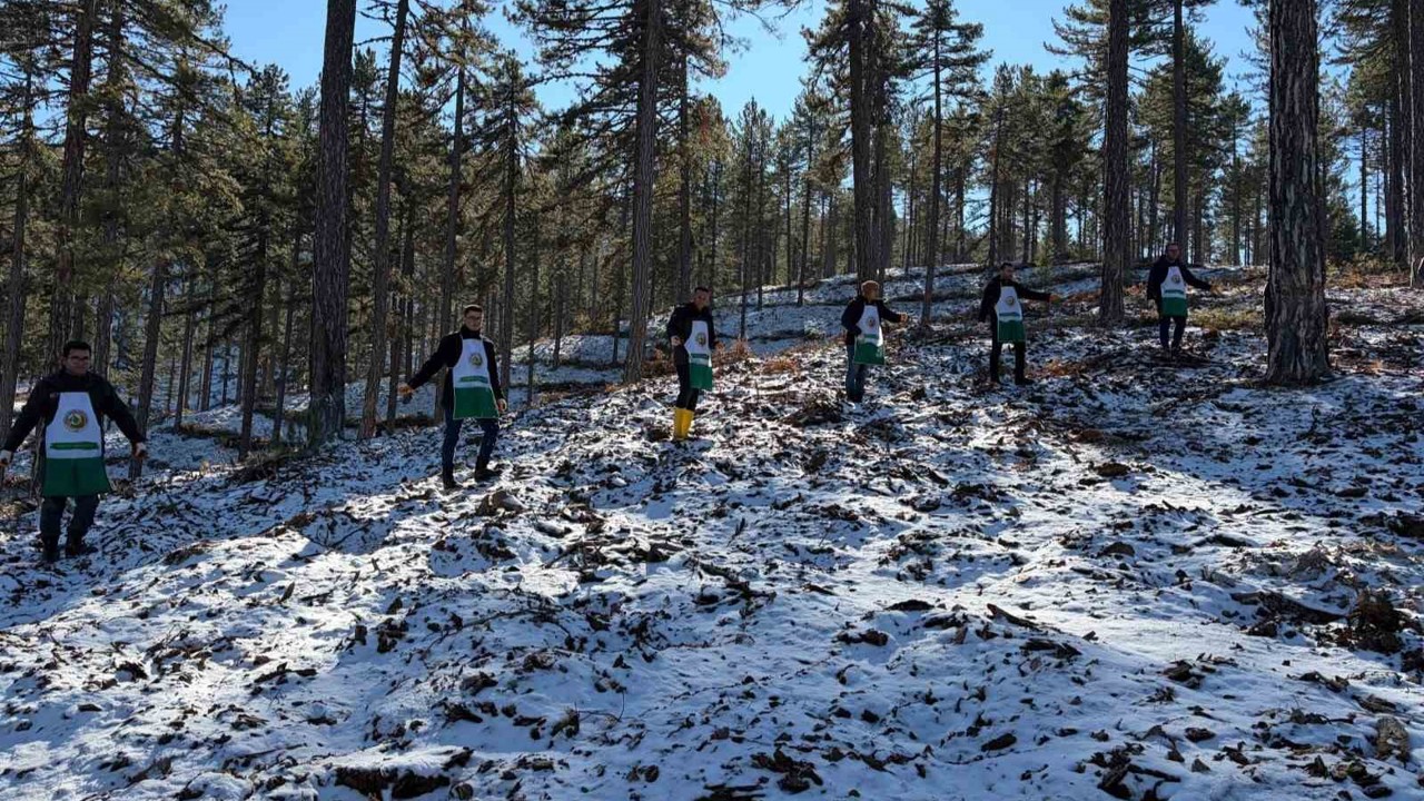 Saimbeyli’de orman geleceğe hazırlanıyor
