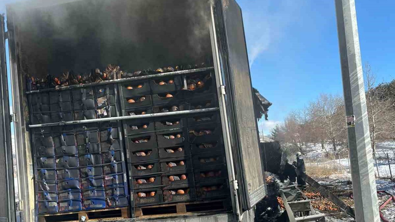 Adana-Pozantı Otoyolu’nda narenciye yüklü tır alevlere teslim oldu
