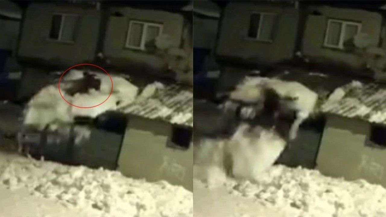 Çatıdaki karı temizlerken kar kütlesiyle zemine düştü
