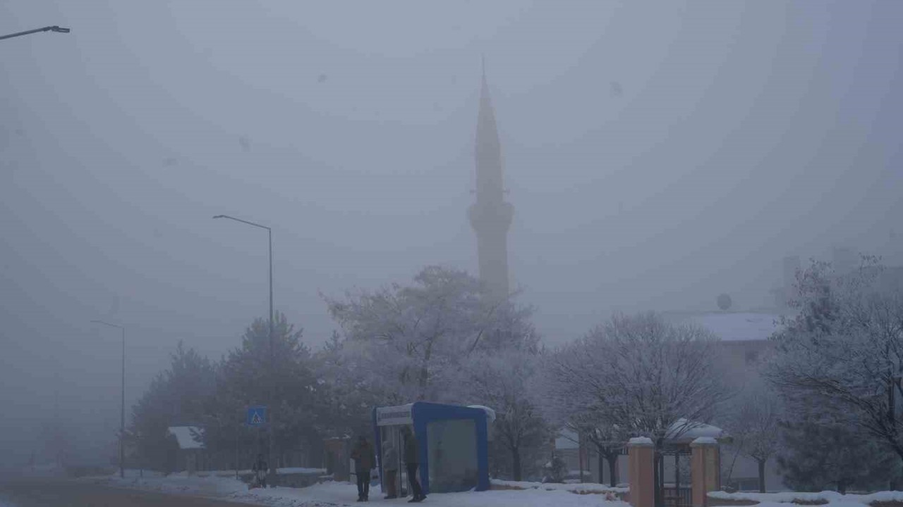 Erzurum’da sis ulaşımı aksattı
