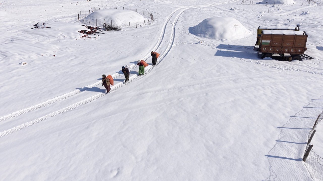 Mazıdağı’nın karlı yollarında zorlu mesai: Kadınlar sırtlarında saman taşıyarak kışa meydan okuyor
