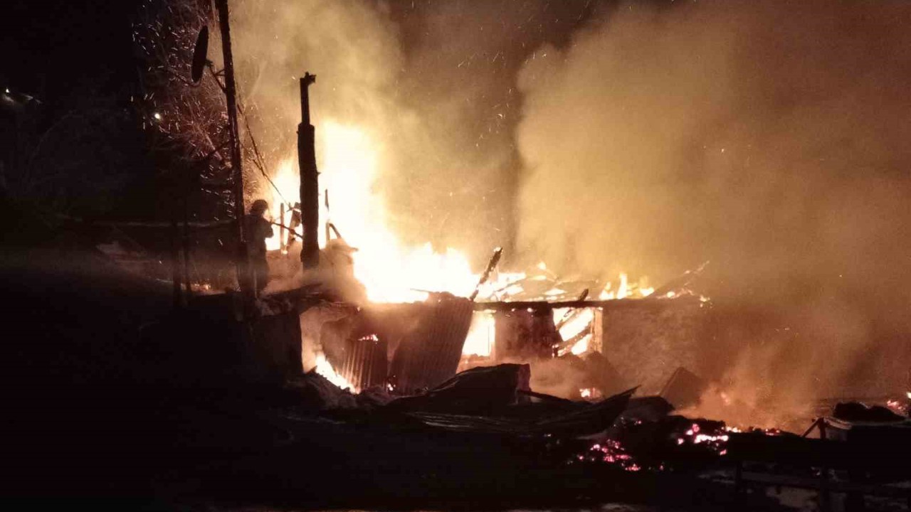 Ordu’da evini ateşe veren şahıs ağaçta asılı halde bulundu
