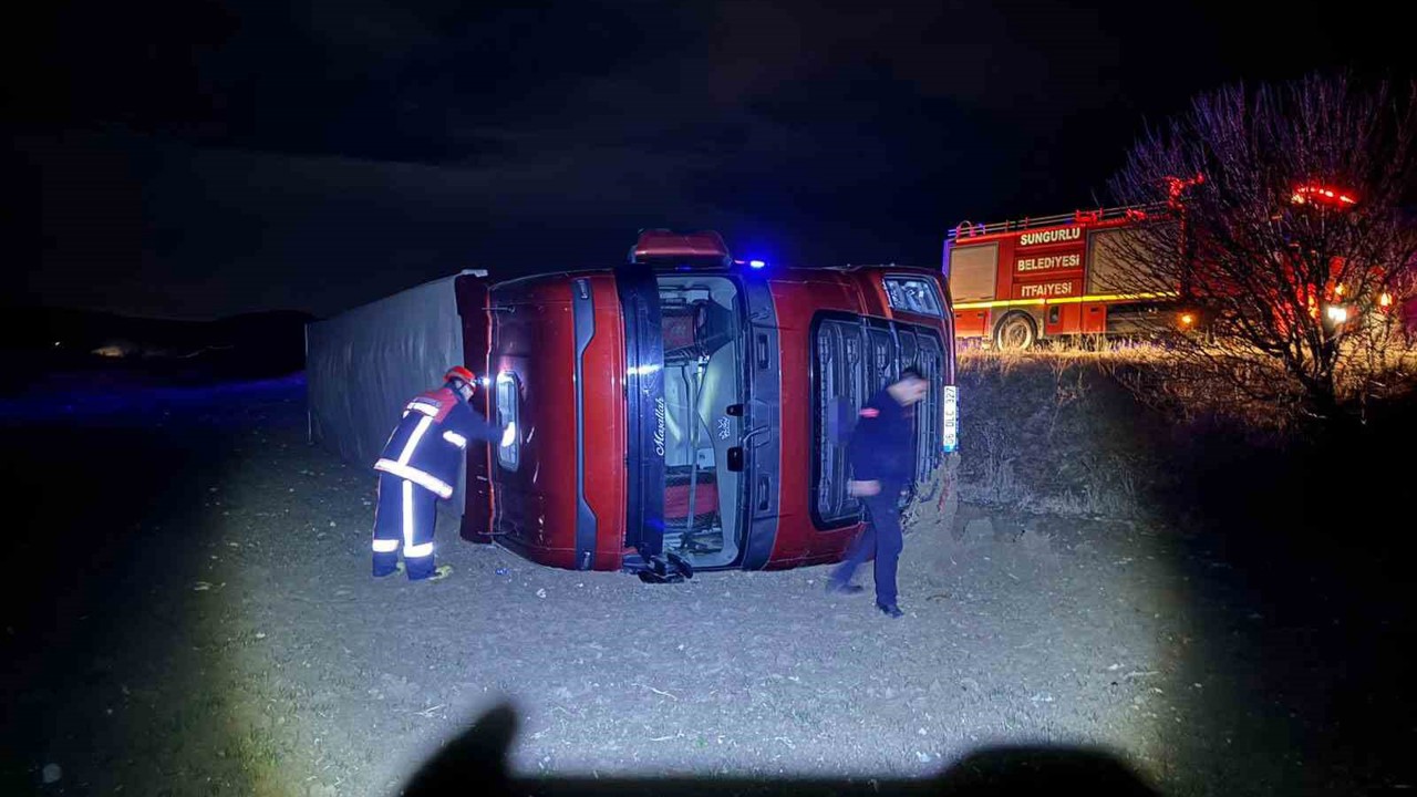 Köpeğe çarpmamak için manevra yaptı, tır şarampole devrildi: 1 yaralı
