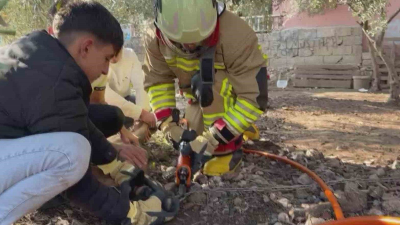 Patisi zincire sıkışan köpeğe hayat kurtaran müdahale
