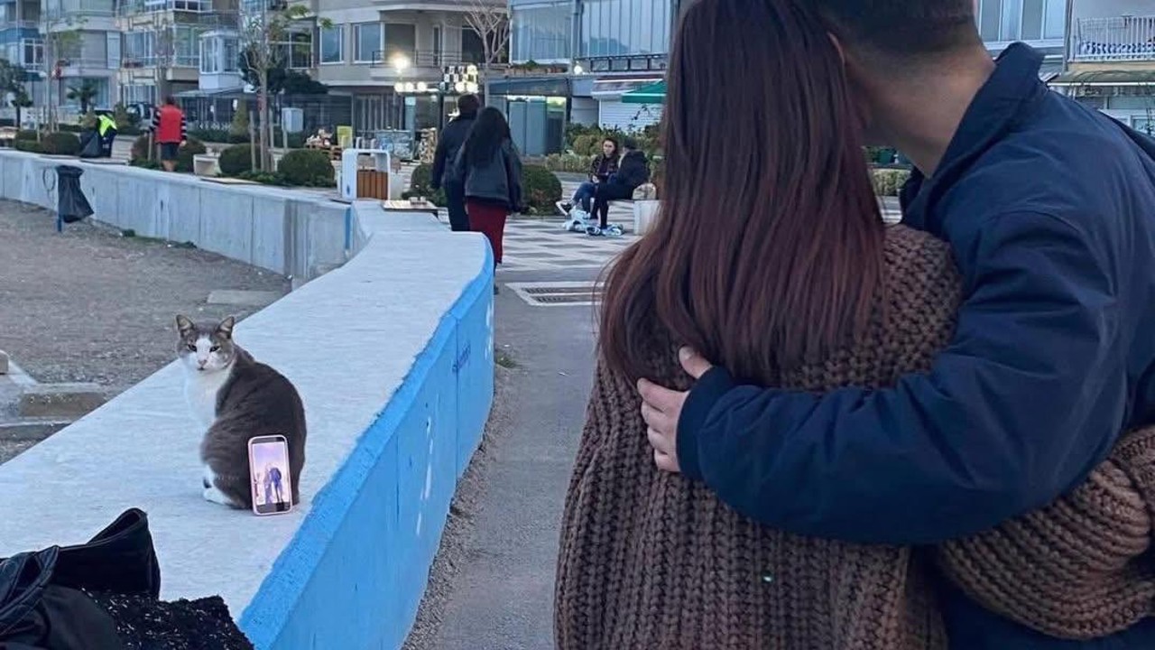 Bursa sahilinde ilginç fotoğraf çözümü: Tripod yerine kedi kullandılar

