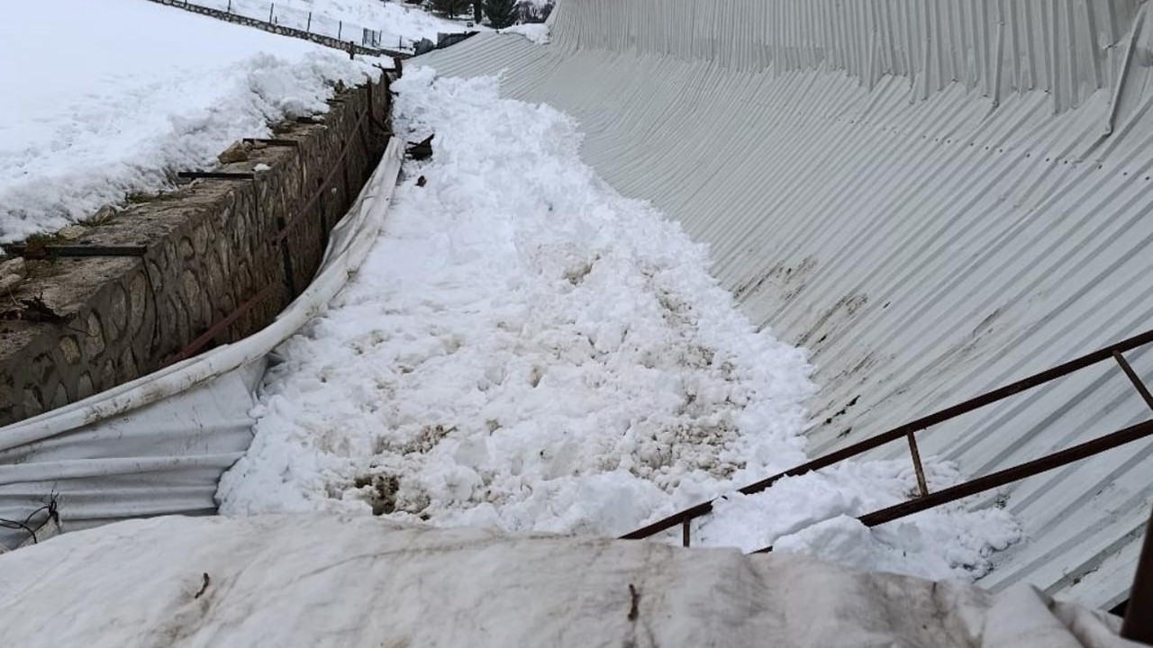 Elazığ’da ahırın tavanı çöktü
