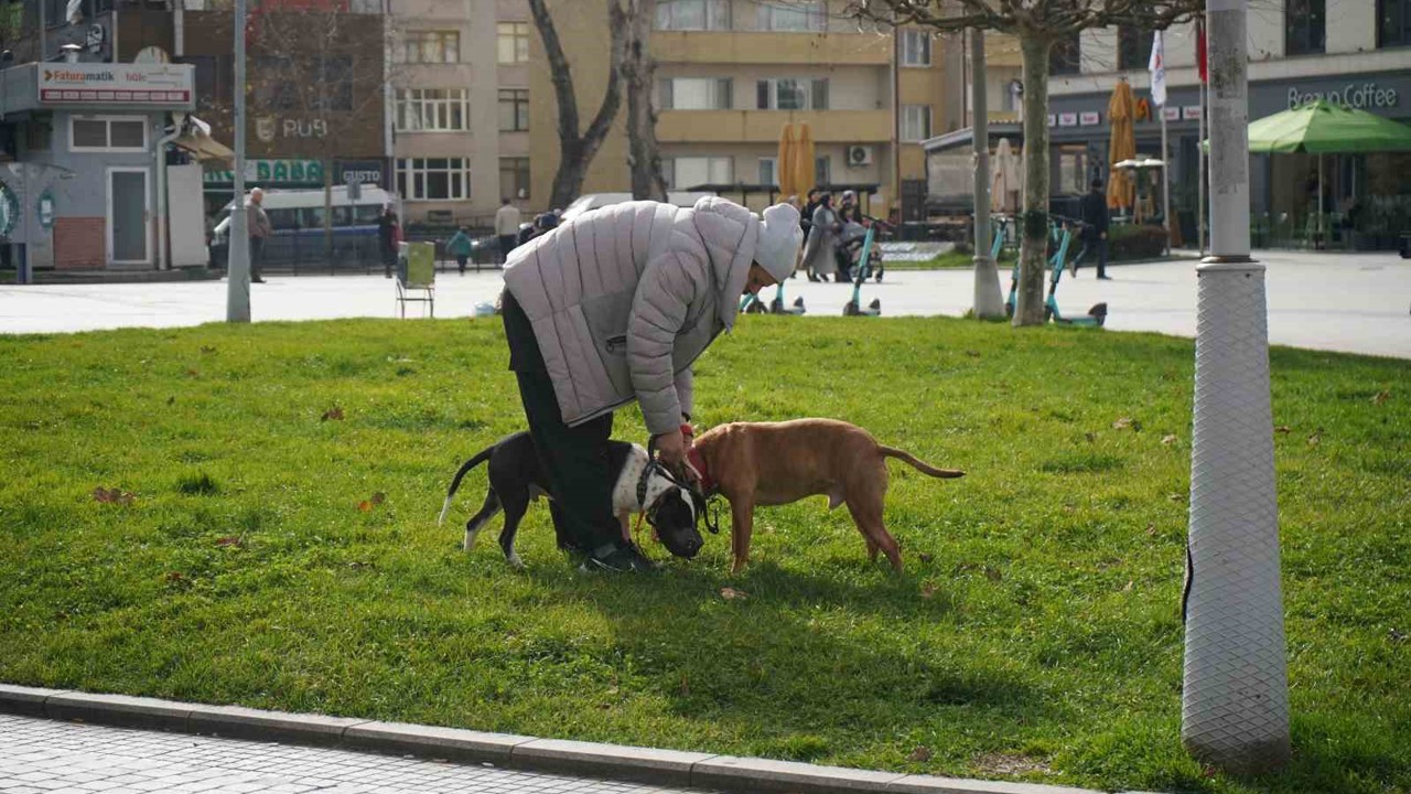 Kış ortasında sonbahar havası
