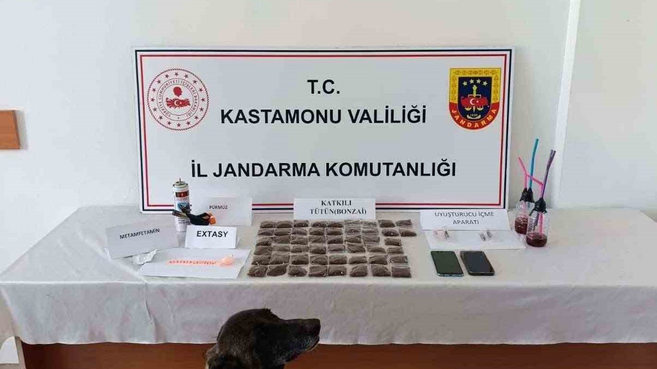 Kastamonu’da uyuşturucu operasyonu: 1 tutuklama
