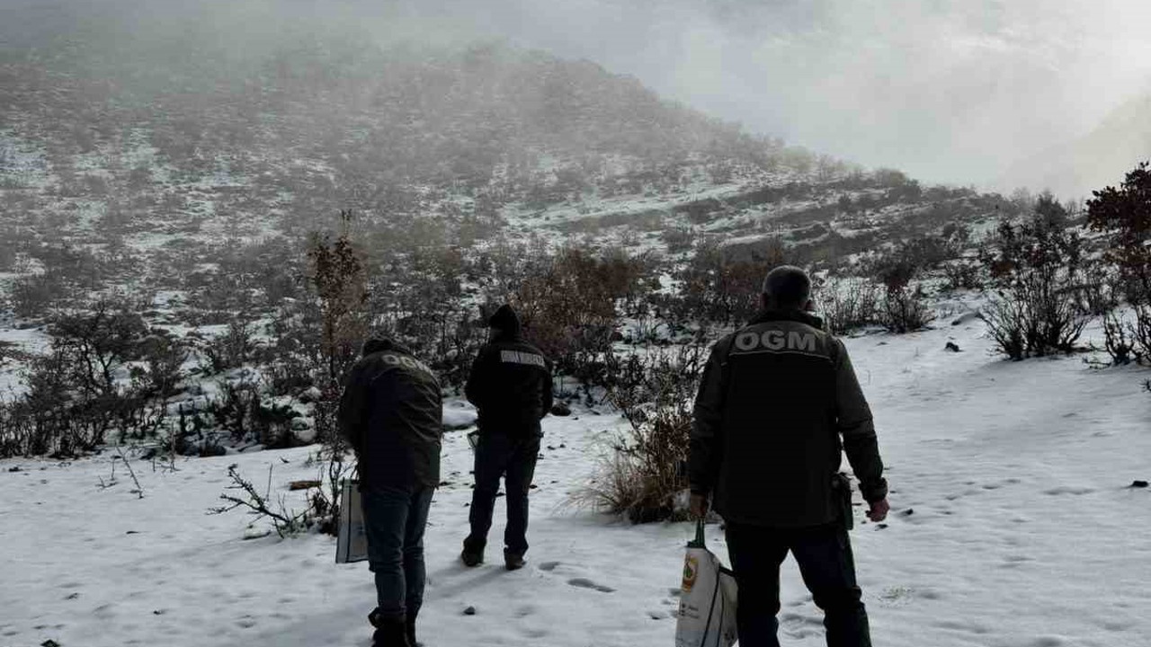 Dondurucu soğuklarda yaban hayata umut oldular
