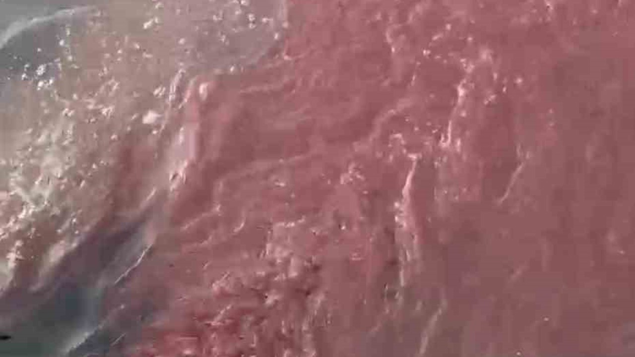 Bandırma’da deniz yüzeyi kırmızıya döndü
