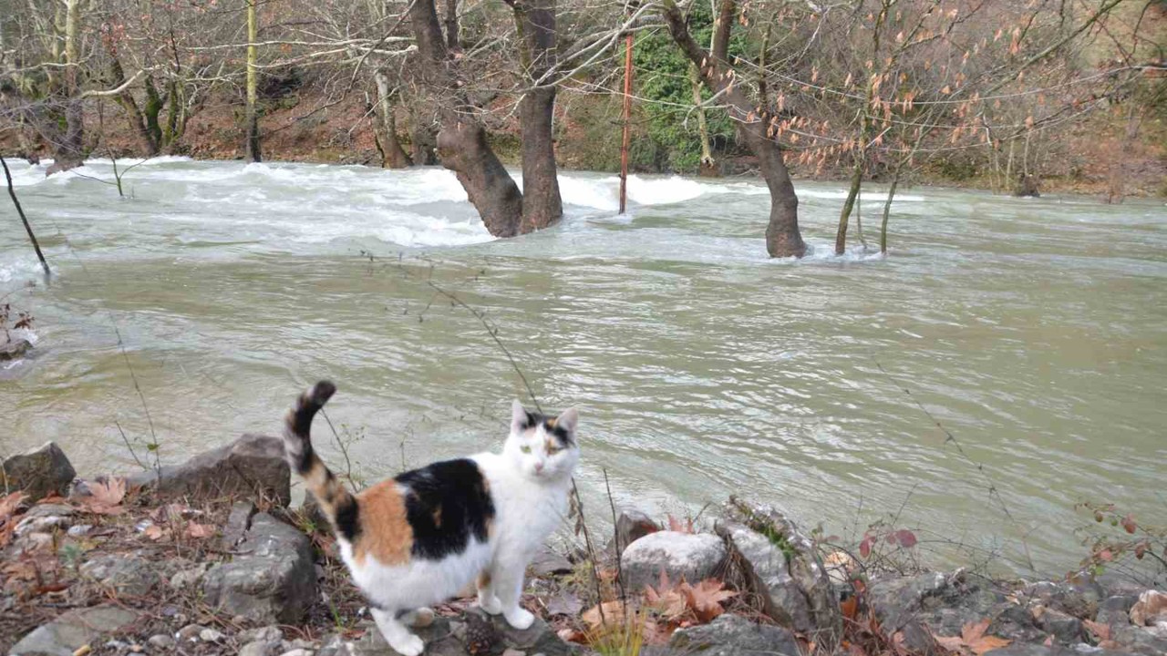 Toroslar’da yağış bereketi kuruyan Üzümdere Irmağını yeniden canlandırdı, şelaleler coştu
