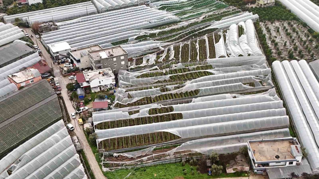 Finike’de hortumdan zarar gören seralarda hasar tespiti başladı

