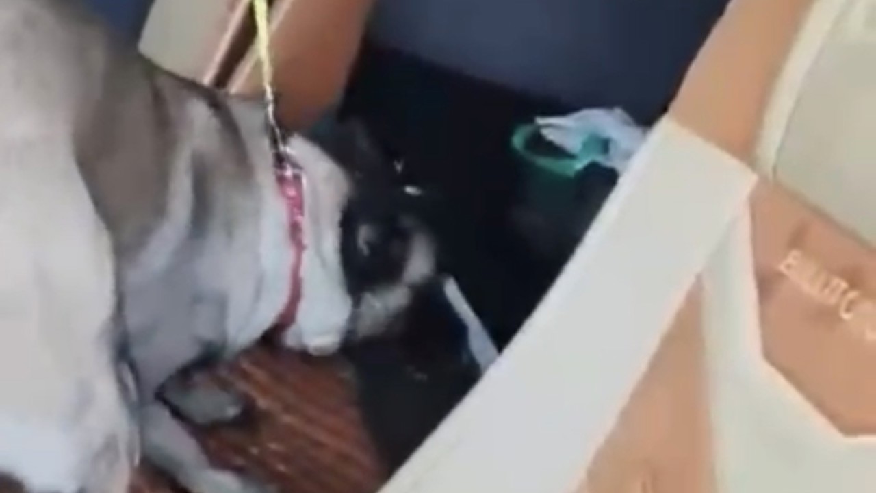 Samsun’da tırda metamfetamin ele geçirildi
