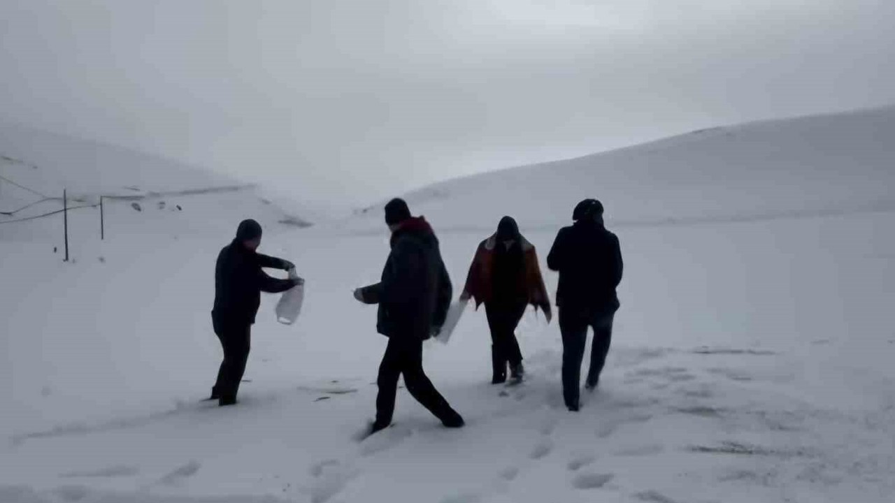 Darende’de öğretmen ve öğrenciler yaban hayvanlarını unutmadı
