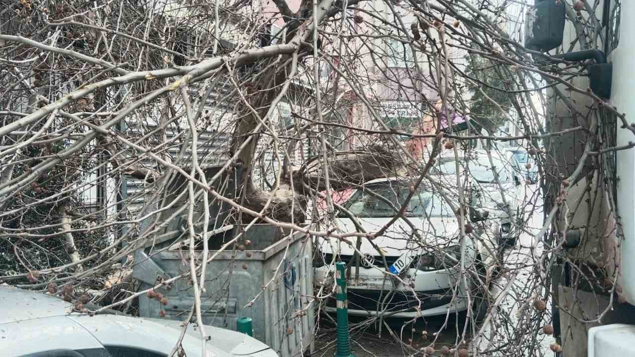 Kamyon çarptı, çınar ağacı araçların üzerine devrildi
