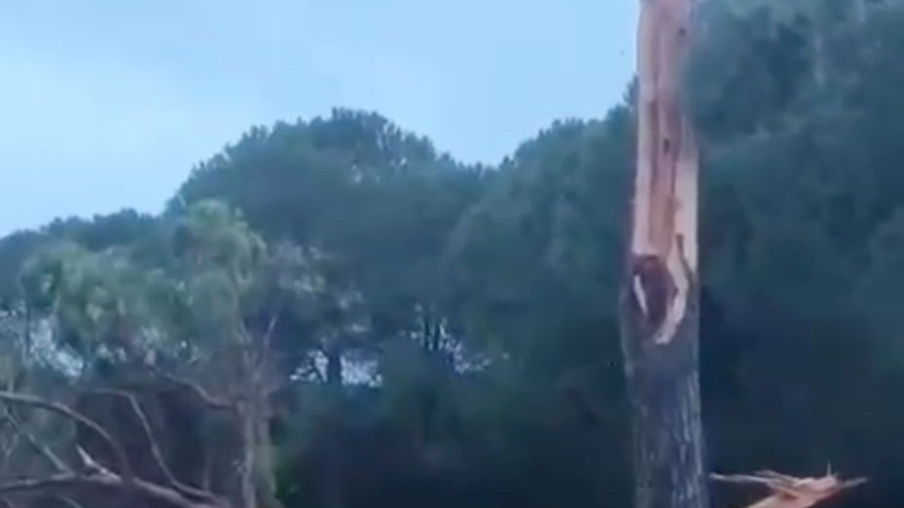 Golf sahasına düşen yıldırım ağacı parçalara ayırdı
