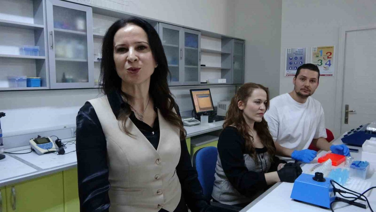 Tuz Gölü’nün dayanıklı bitkileri çorak toprakları yeniden canlandırmak için inceleniyor
