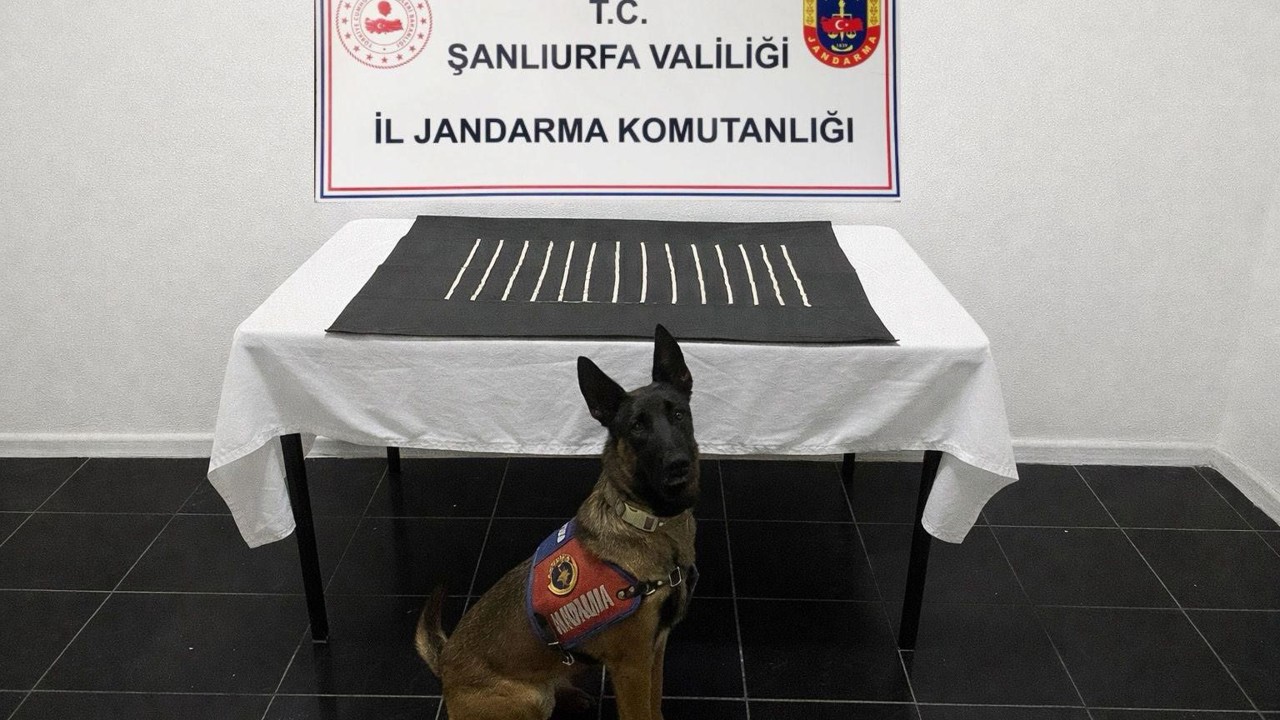 Harran’da uyuşturucu operasyonu: 2 gözaltı
