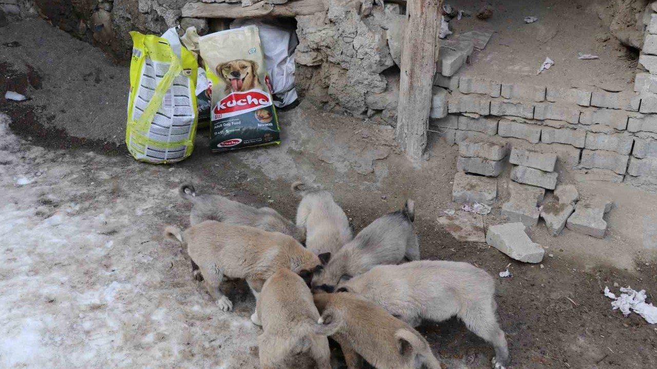 İstanbul’dan Erzurum’a uzanan yardım eli
