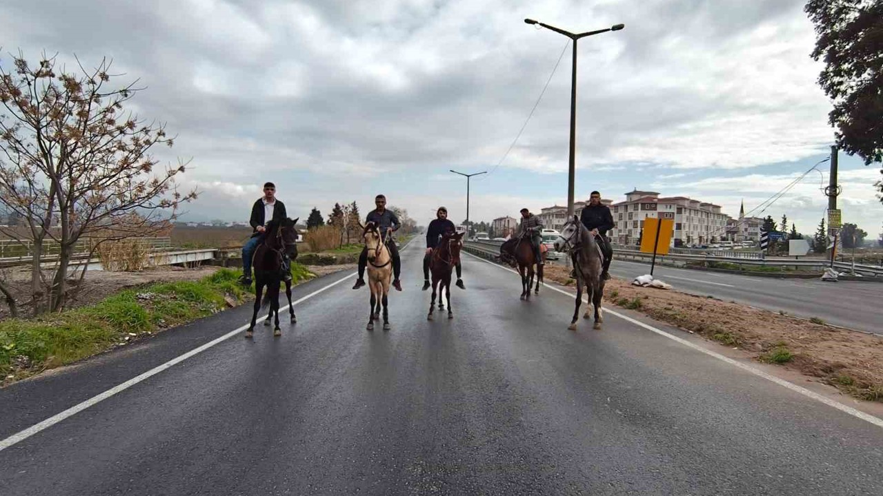 İncirliova’da Rahvan atları yarışlara hazırlanıyor
