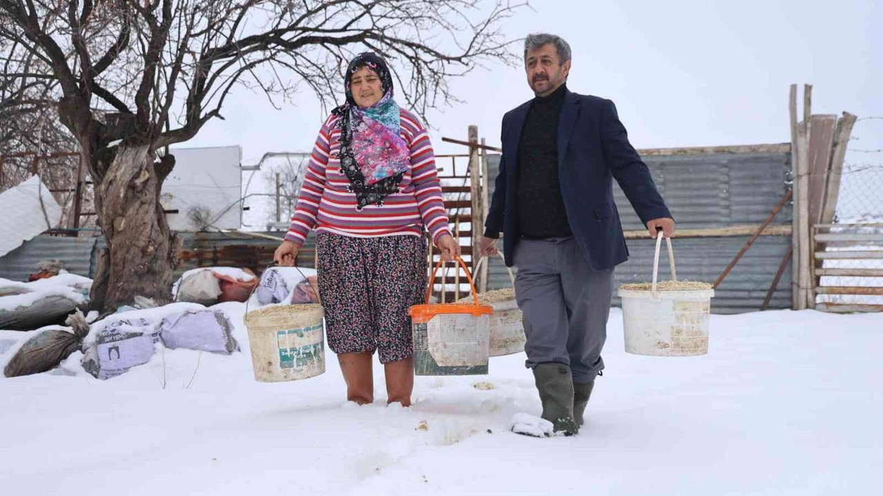 Elazığ’da besicilerin kış mesaisi
