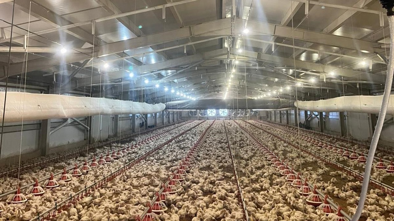 Kırsalda üretime 33,6 milyon liralık can suyu
