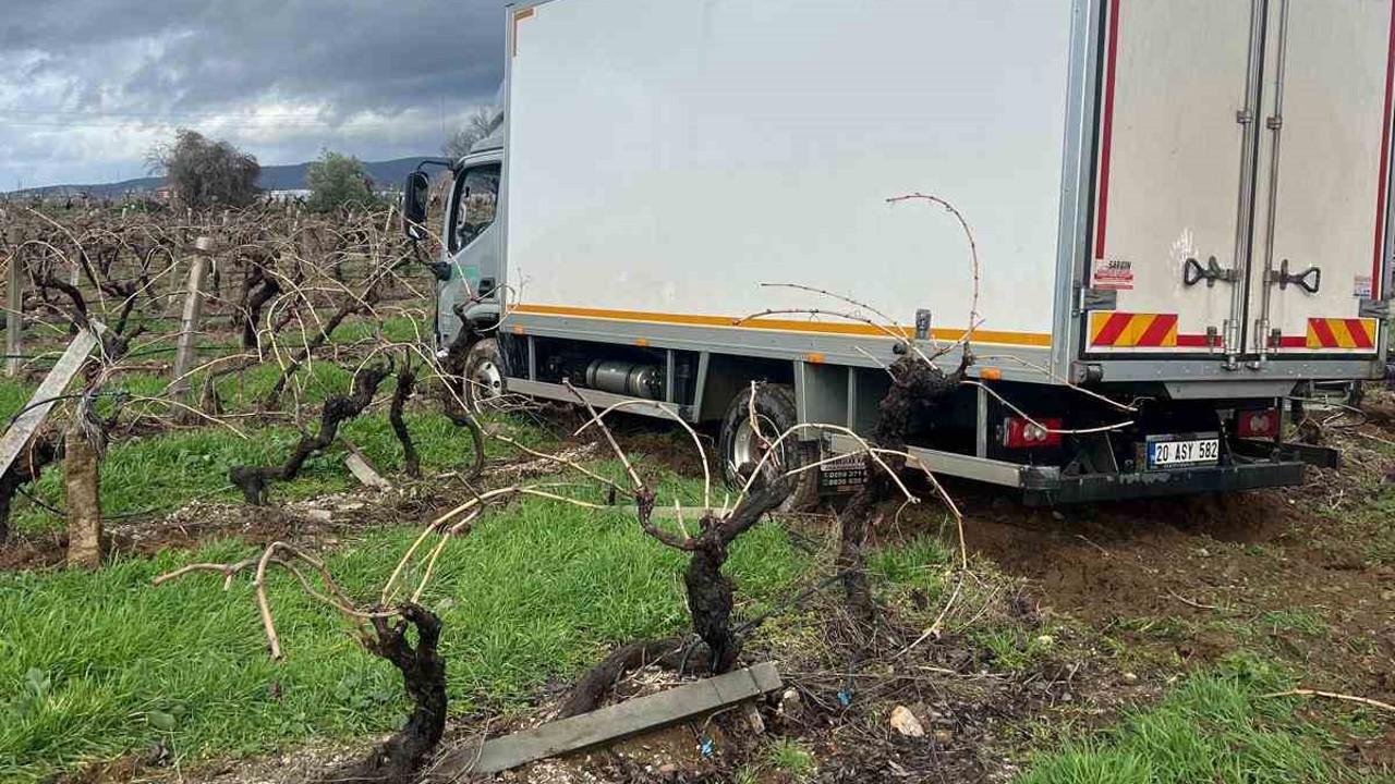 Sabıkalı yolda kamyon üzüm bağına girdi
