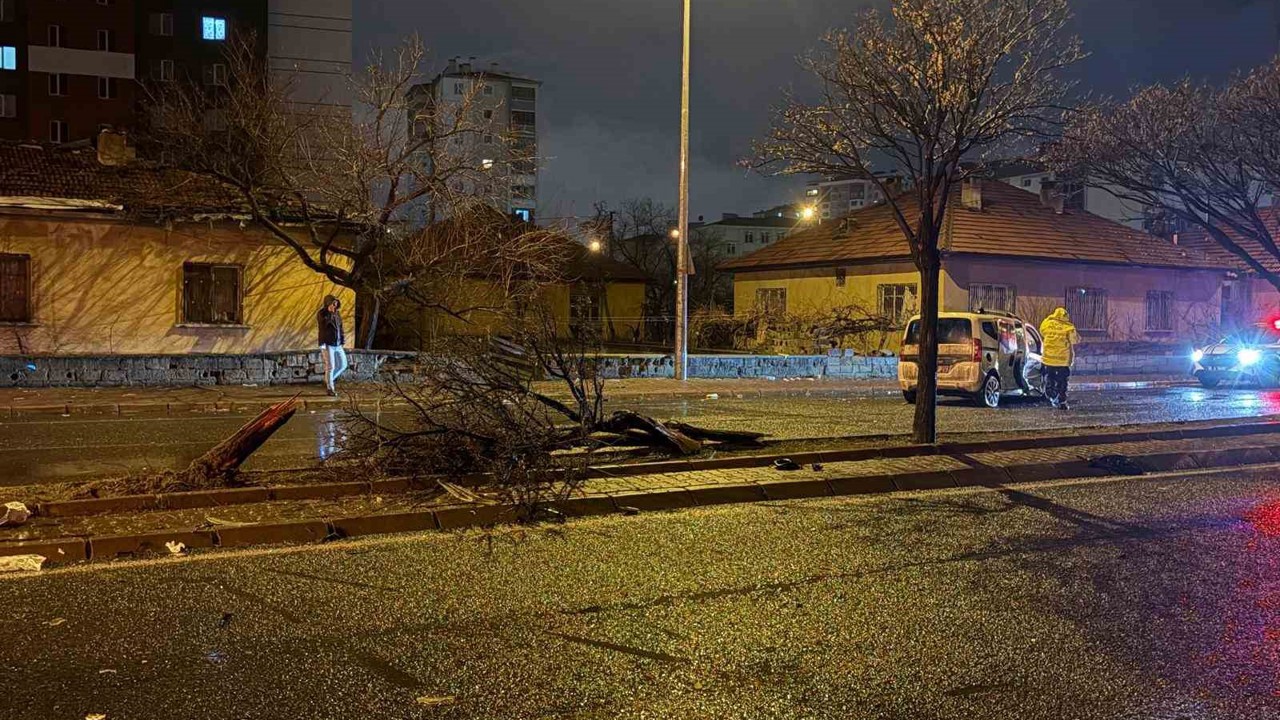 Kaza savrulan otomobil ağacı ikiye böldü: 4 yaralı
