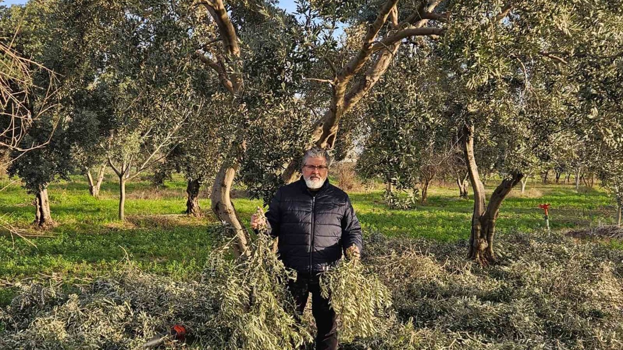 İncir ve Zeytin Bilimsel Araştırmalar Akademisi’nden yeni proje
