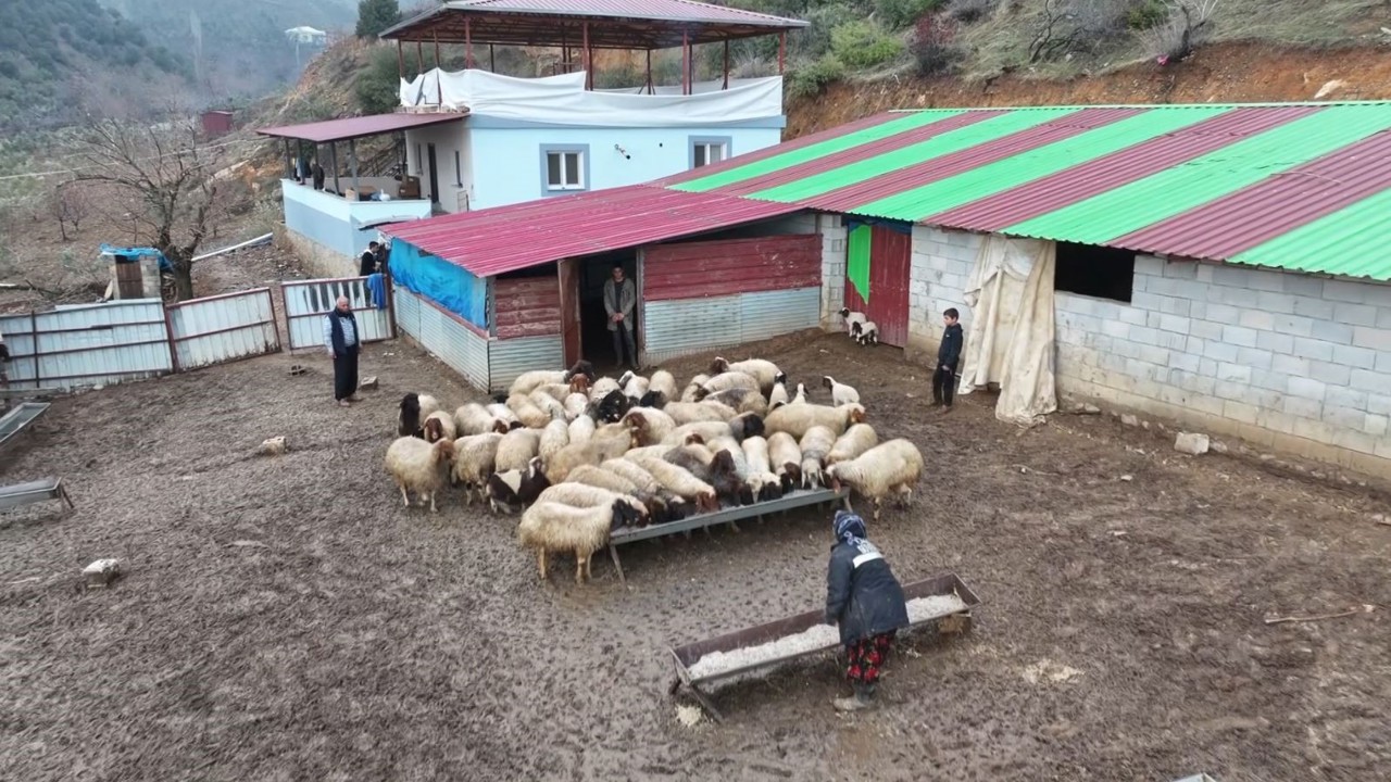 Depremzede besici devlet desteğiyle hayata tutundu
