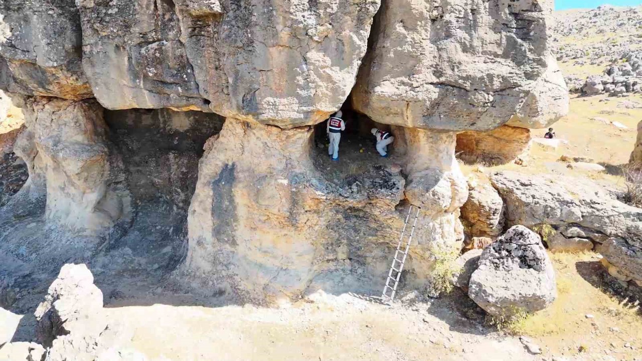 Piknik yapan ailenin ihbarıyla aydınlığa kavuşan cinayete ilişkin iddianame hazırlandı: 2 sanığa ağırlaştırılmış müebbet istemi
