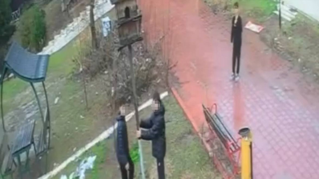 Adana’da parktaki kuş yuvasını parçaladılar

