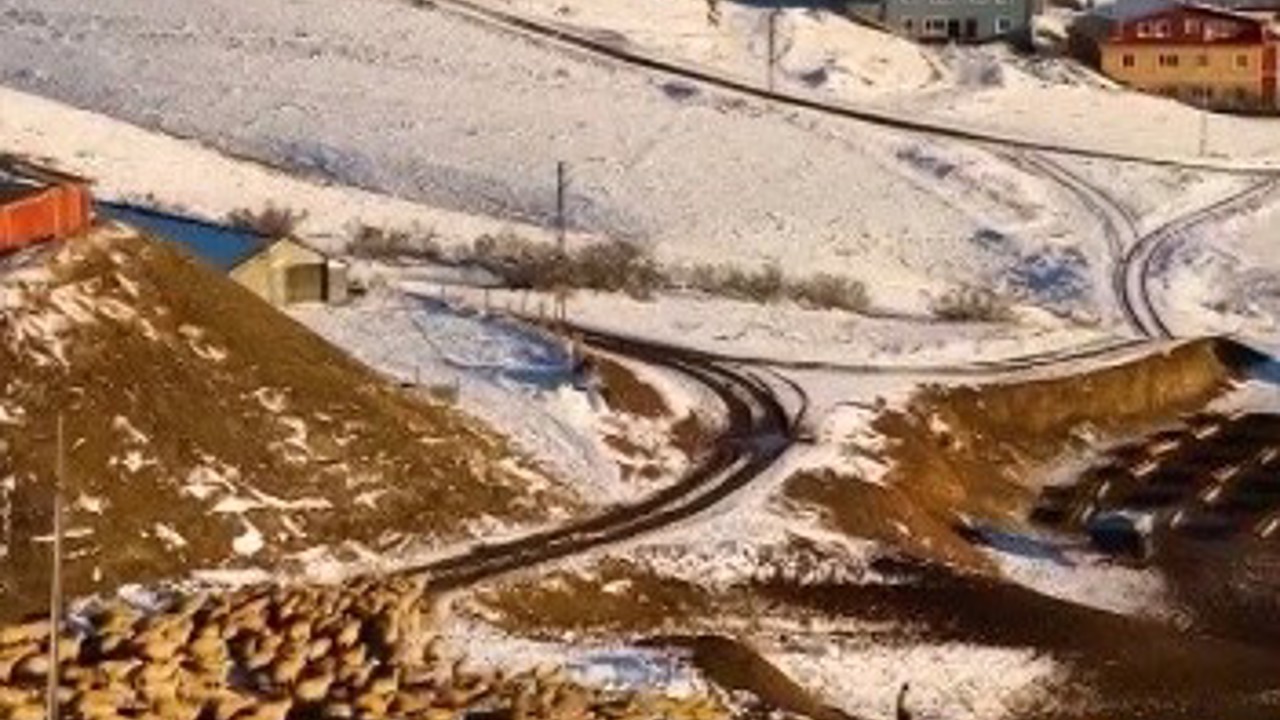 Dağın huzuru, emeğin sesi: İliç’te küçükbaş hayvancılık
