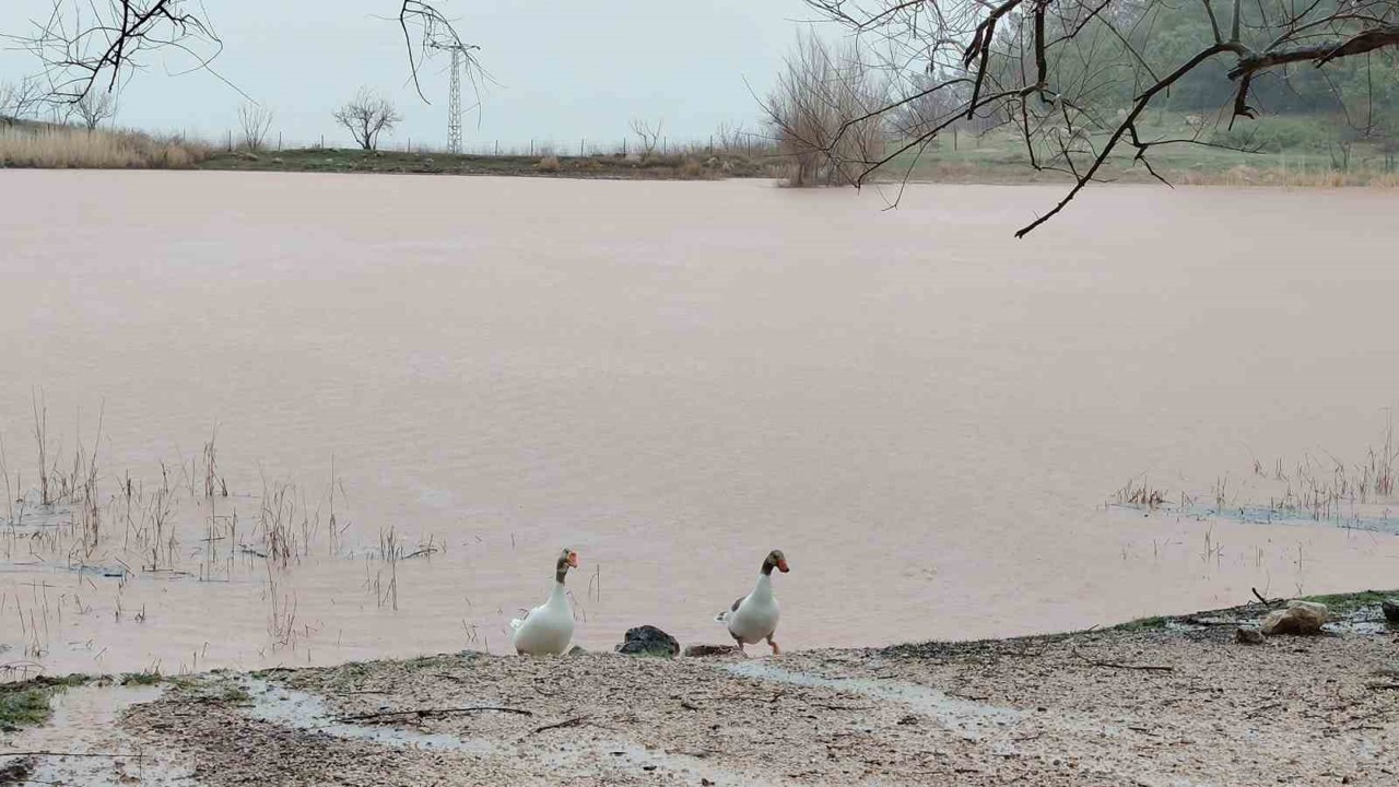 Kuruyan Sülüklü Göl yeniden canlandı
