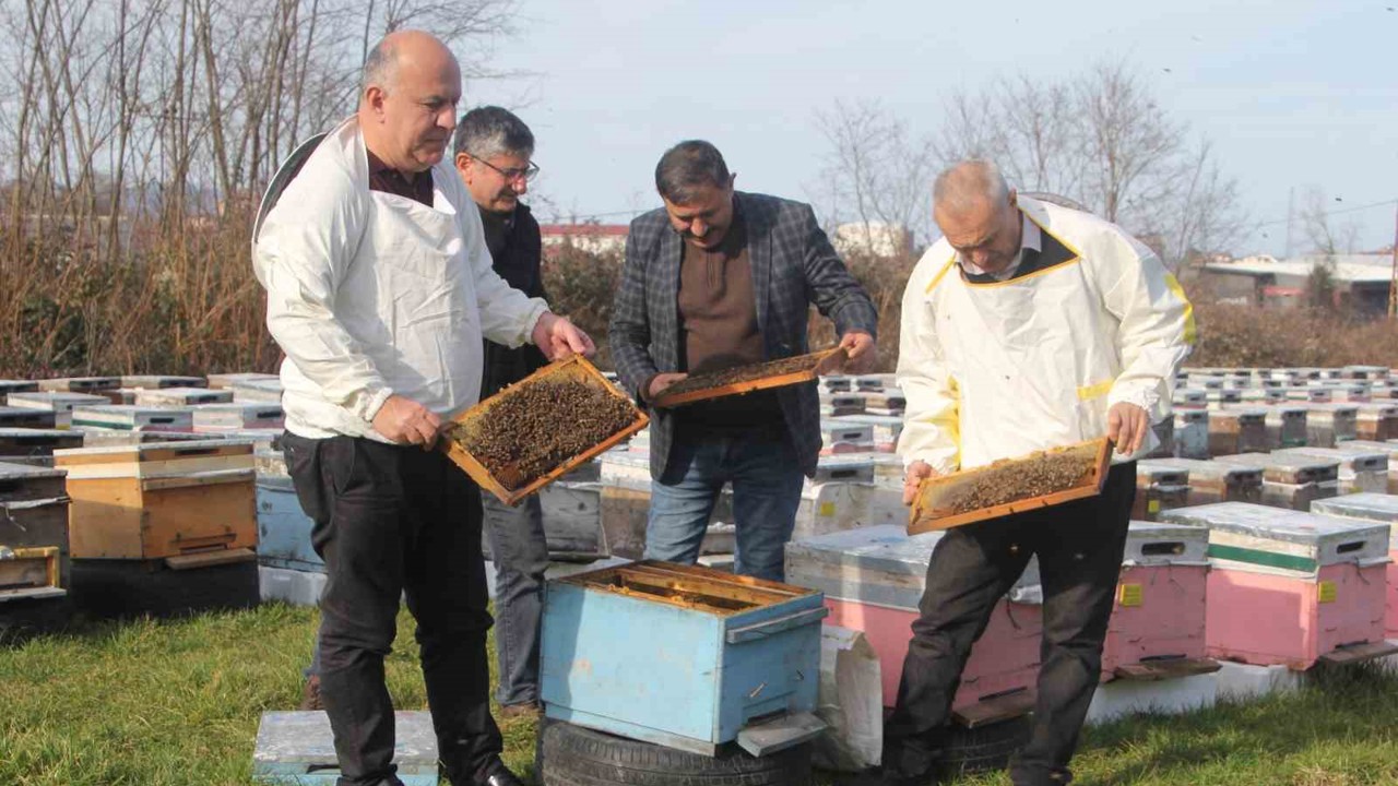 Türkiye’de en fazla bal üretiminin yapıldığı Ordu’da arıcılar sezona hazırlanıyor
