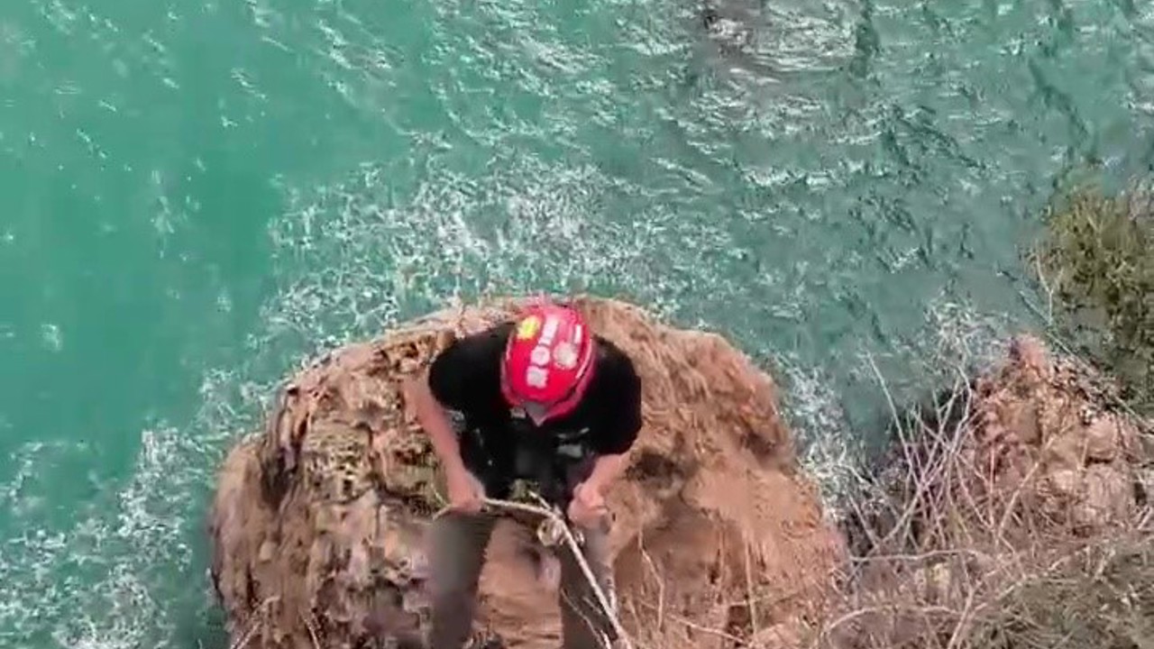 Falezlerde mahsur kalan kediyi film gibi operasyonla kurtardılar
