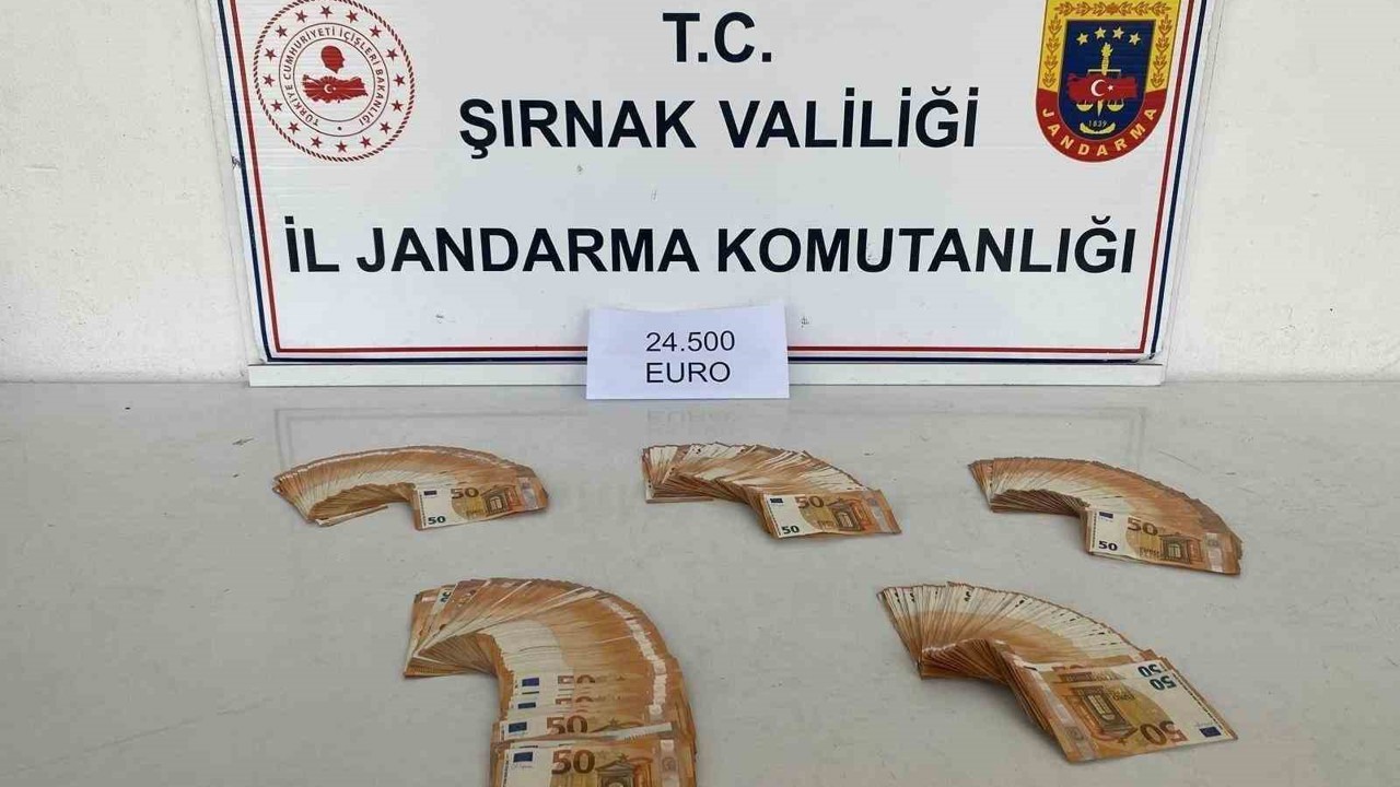 Şırnak’ta jandarmadan kaçakçılığa büyük darbe
