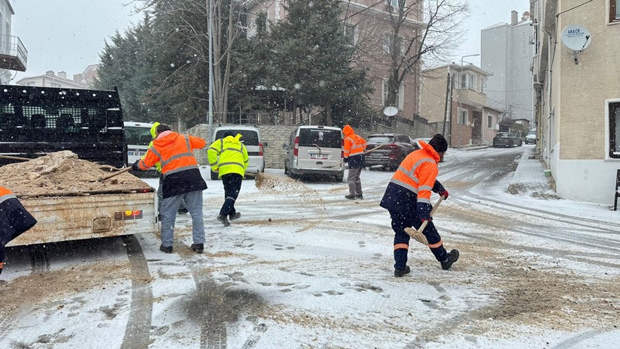 Kırklareli’nde solüsyonla ilaçlama ve tuzlama çalışmaları
