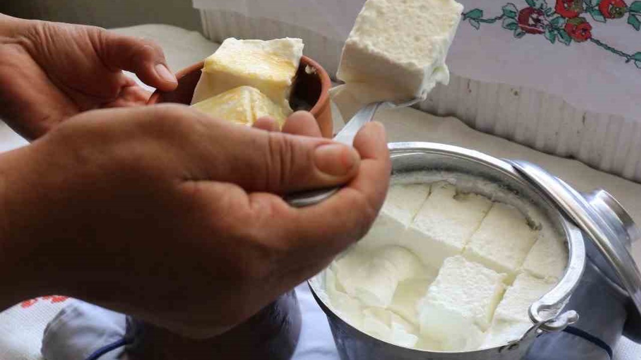 Bartın’ın meşhur manda yoğurdu Kültürel Miras listesine eklendi
