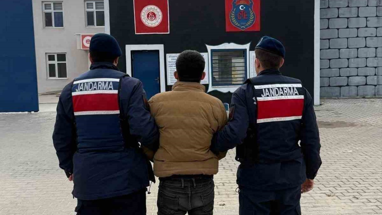 Jandarma aranan 50 kişiyi gözaltına aldı
